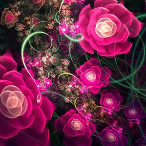 Meet your Posher, Aminta